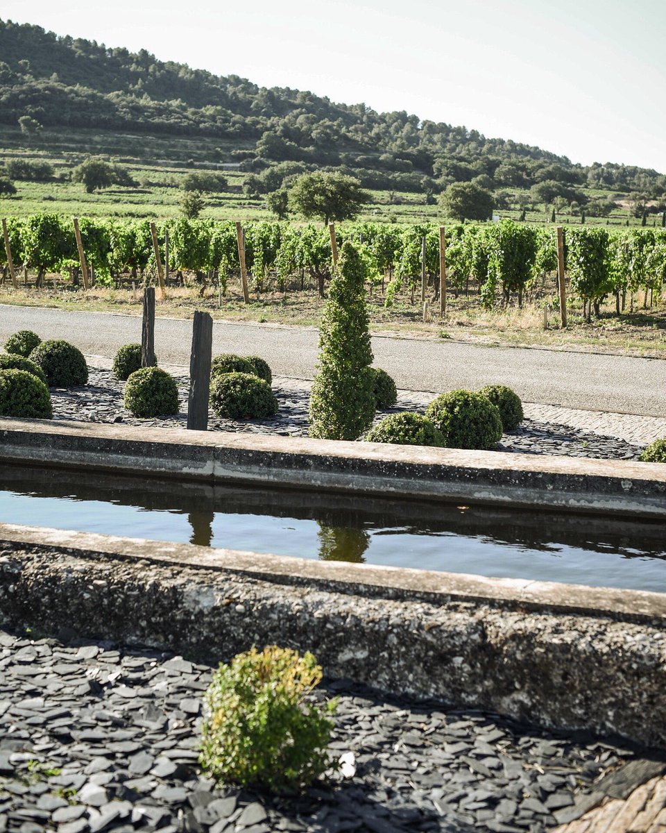 Lafourmone's tweet photo. ENTRANCE :) #domainelafourmone #fourmone #lafourmone #domainelafourmone #vin #wine #winelovers #vino #beautifuldestinations #exploremore https://t.co/IEUqI3uW7P