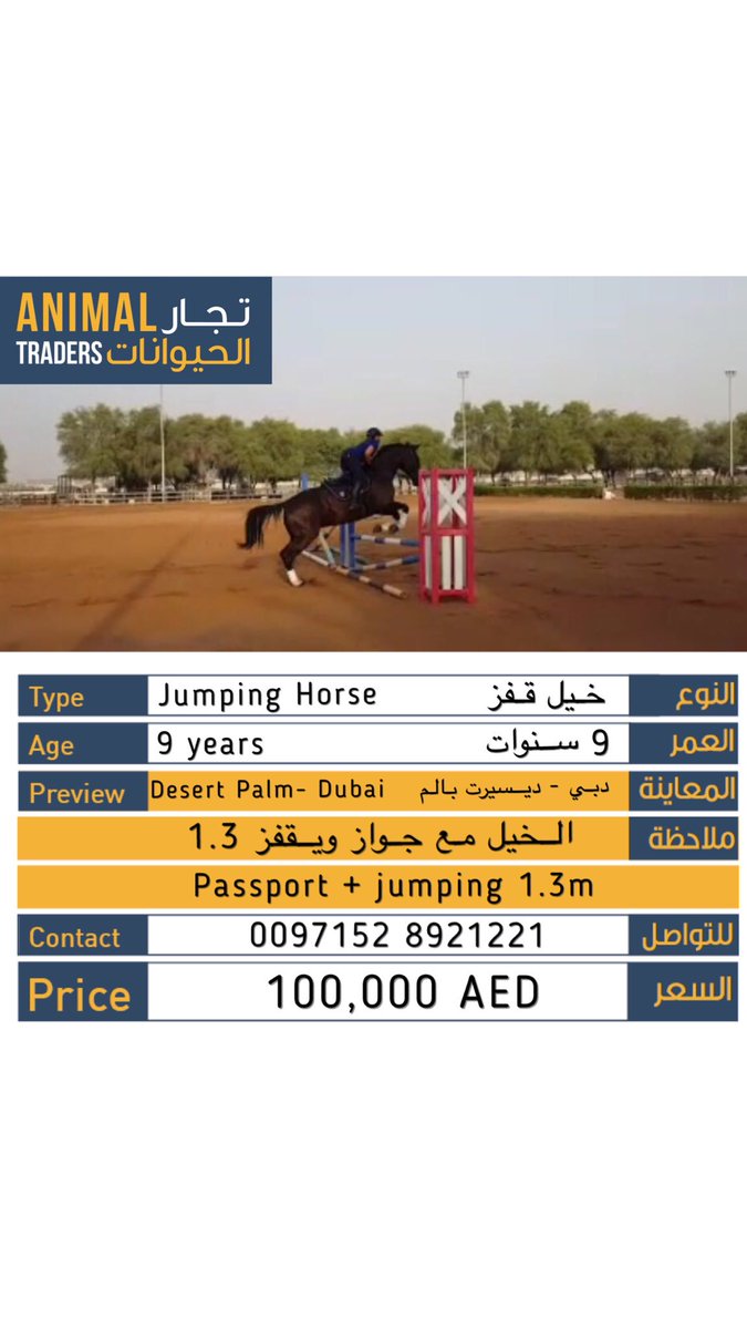 animal_traders's tweet photo. Jumping horse for sale https://t.co/toDhTo7FWh