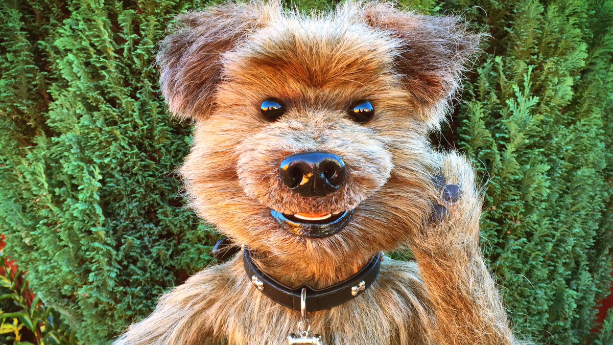 Hacker T Dog tweet media