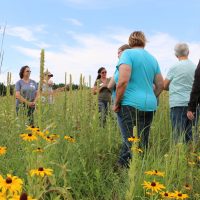wifarmdude's tweet photo. Wisconsin Ladies Lead In Production Agriculture And Summer Field Days Show People How. https://t.co/UthNZkuLhB https://t.co/p2aGkdbWf7