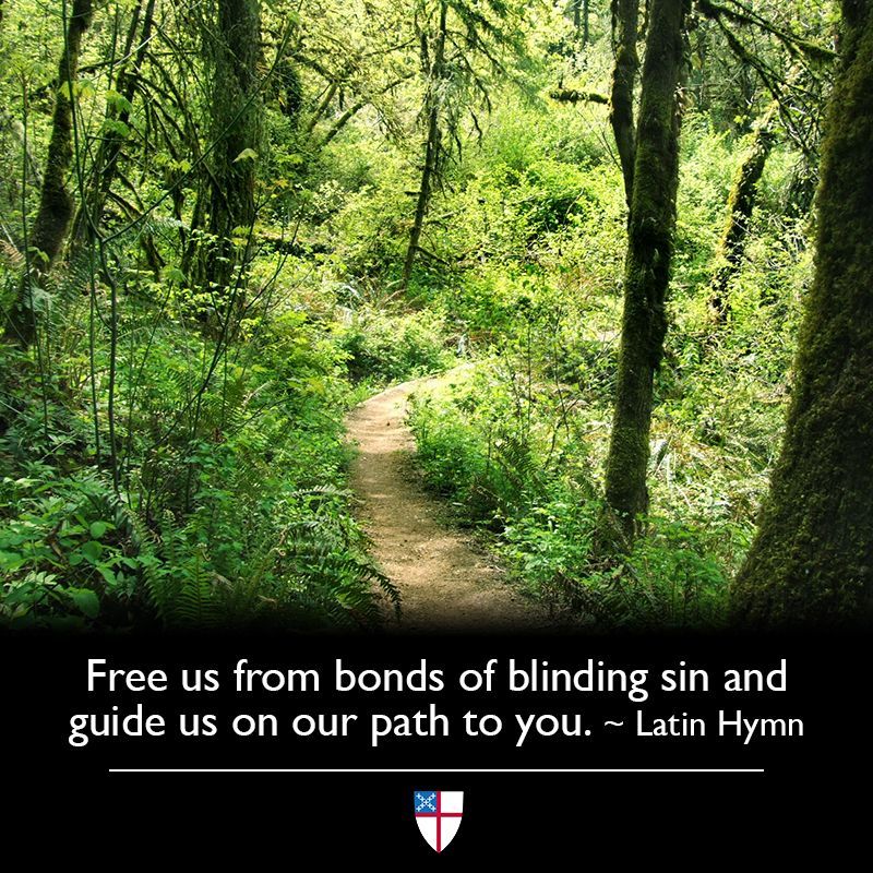 Free us from bonds of blinding sin and guide us on our path to you. ~ Latin hymn