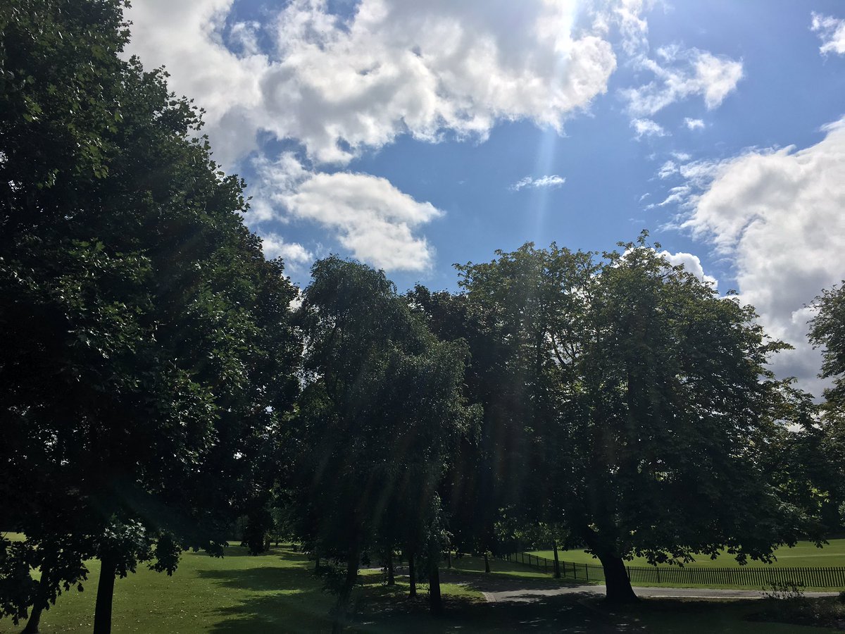 TransportForWM's tweet photo. Lovely day in @handsworthpark for the #NWMBears Hunt two more down! @WellActiveBear #SunGuardian #ThebigSleuth https://t.co/W6xLhoCBaC