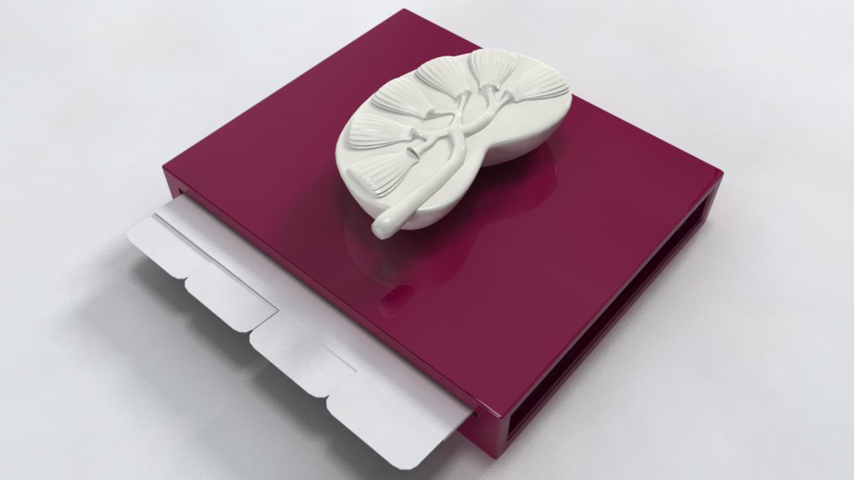 VIXIMEXICO's tweet photo. Diseño de modelo anatómico con tarjetas informativas
Ceramica / Madera Laqueada / Tarjetas Plastificadas
#promotional #anatomicmodel #custom https://t.co/axBx1lXTOn