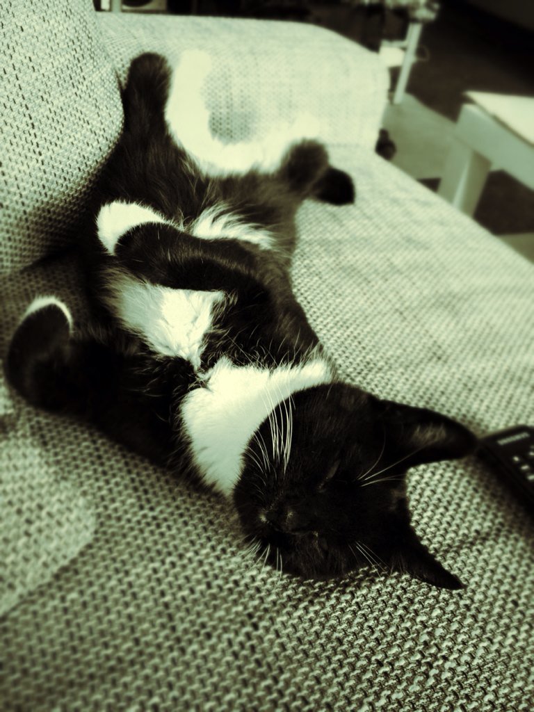 IsThisMAC's tweet image. let me sleep 😏