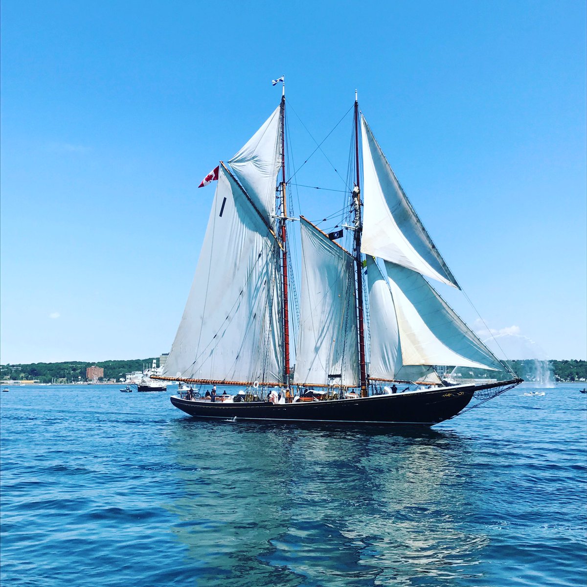 slorourke's tweet photo. #bluenoseiihalifax #paradeofsails #tallships #rdv2017 @My_Waterfront https://t.co/dDLyEKNRQa