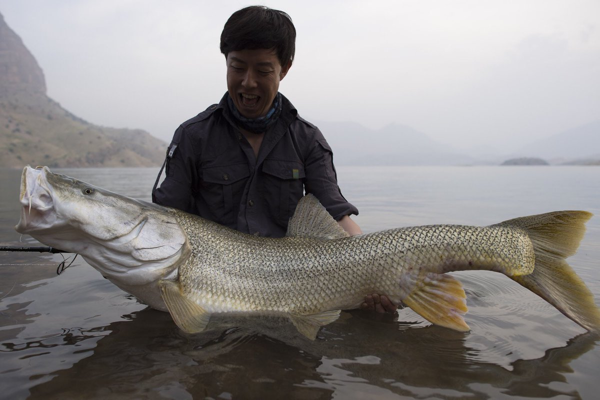 沖山朝俊 しげる マンガルなら飼育できそうですねw