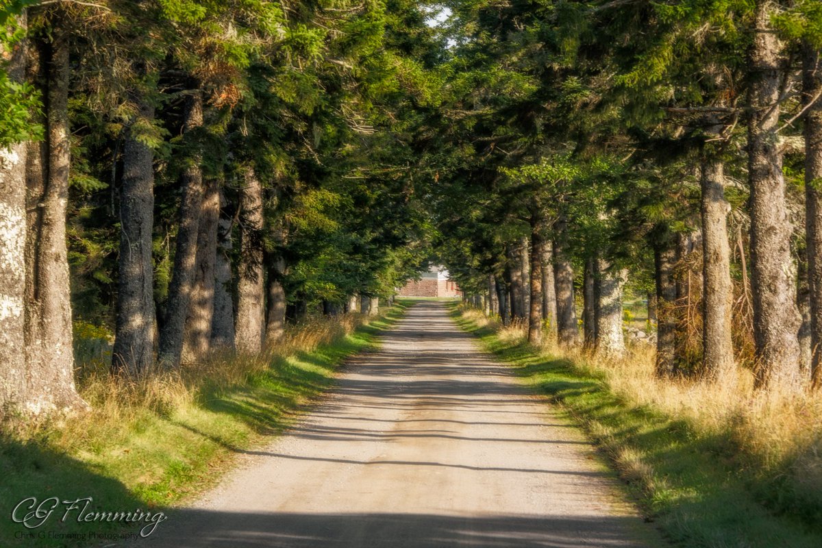 cgflemming's tweet photo. The lane leading to Covenhoven on Ministers Island. #ExploreNB https://t.co/rfEBpSbqLJ