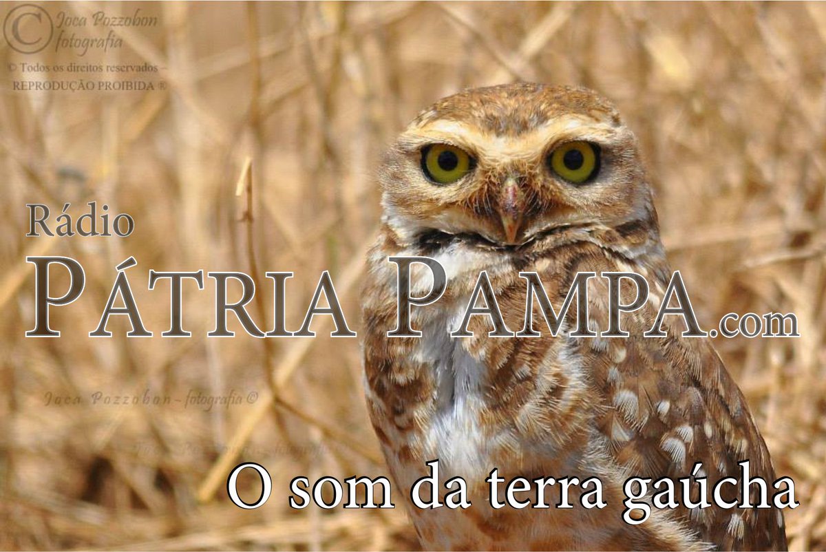 Patria_Pampa's tweet photo. Bom dia!
Baita terça gauchada!
https://t.co/ydEORkjiAJ
#OSomDaTerraGaúcha
#SemDivisa
#CulturaGaúcha
Retrato do Joca Pozzobon - fotografia https://t.co/mrztInigrB