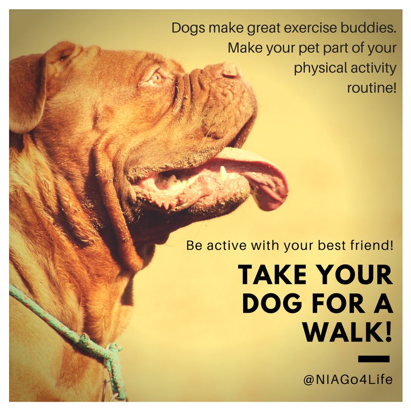 Dog. "Dogs make great exercise buddies. Make your pet part of your physical activity routine! Be active with your best friend! Take your dog for a walk! @NIAGo4Life."