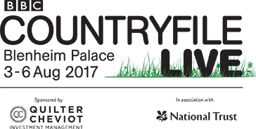 IG Event Solutions tweet media