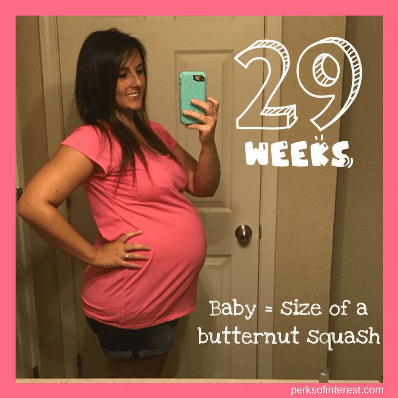 perksofinterest's tweet image. Pregnancy Update – 29 Weeks perksofinterest.com/pregnancy-29-w…
