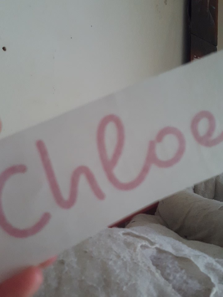 its_chloexox's tweet photo. My love island sticker 💙 https://t.co/erLAZQLp68