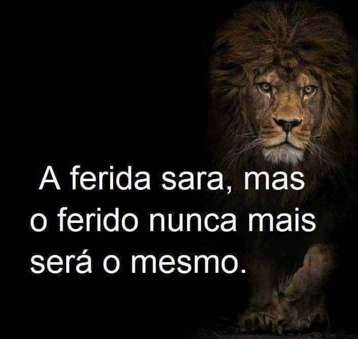 Tim beta segue (@josypayva37) on Twitter photo 