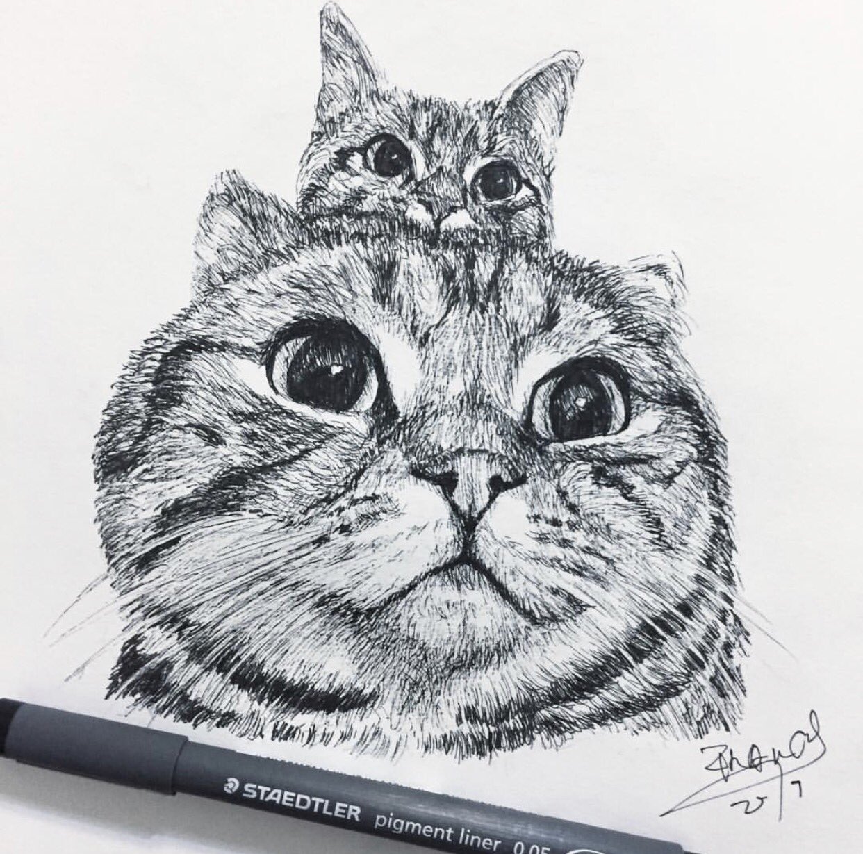 تويتر 友子ちゃんとお兄ちゃん ねこ フェレット على تويتر 海外の方がそっくりに描いてくれました こんな風に描けたらいいな Ig T Co Icsk15edzn 猫 ねこ ネコ イラスト 絵画 ペン画 猫部 Cats Catsoftwitter 猫部 T Co
