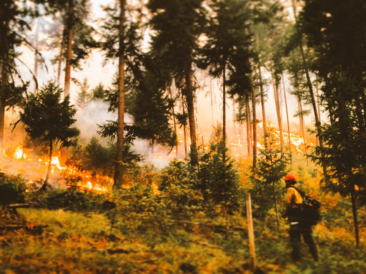 BitterrootIHC's tweet image. Chaz making the fire happen; Sunrise Fire, Div M