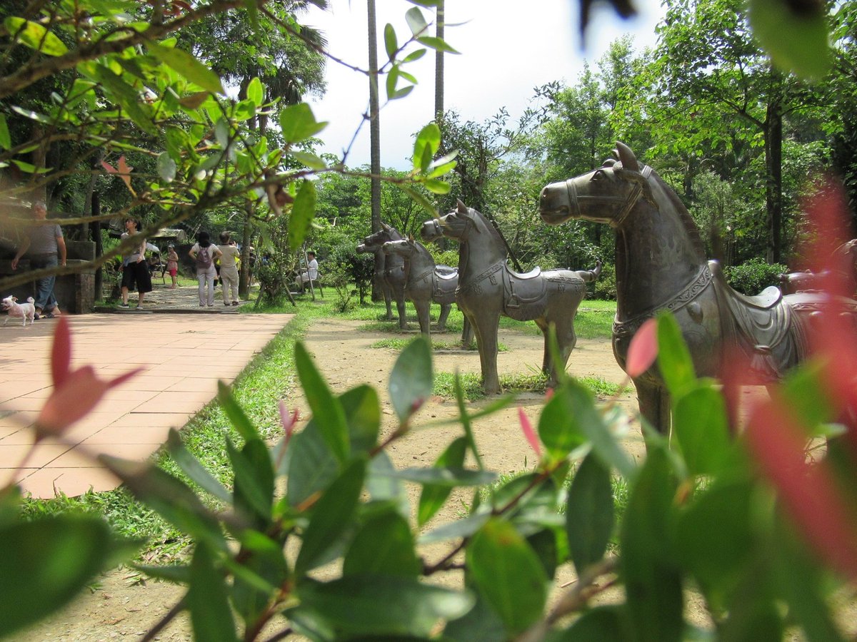 Life from a different perspective 
#travel #travelphotography #aroundtheworld #beautifuldestinations #traveler #picoftheday #Tweetoftheday