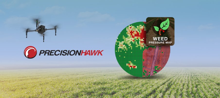 PrecisionHawkES's tweet photo. Cómo pueden los #drones ayudar con la detección de malezas en el #agro? Aquí la respuesta: https://t.co/jnj6ioVXv2 Consúltenos! https://t.co/2Ud5UlcNwA