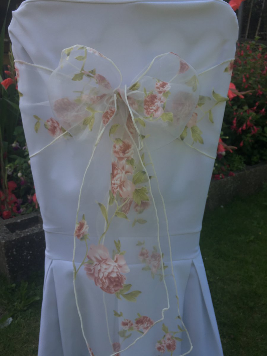 Sitting Pretty tweet media