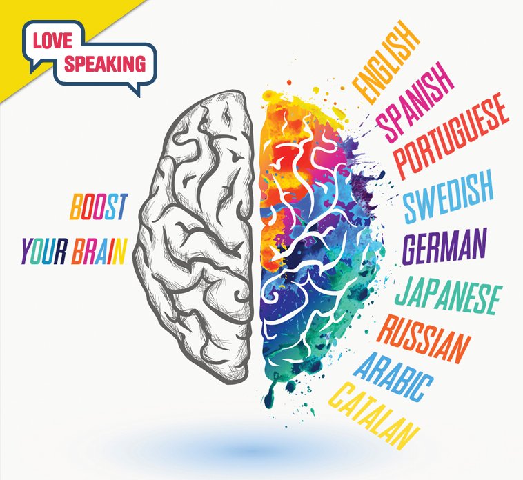 Language learners have more flexible and efficient brain connections.
#neuroscience #brainpower #braintraining #science #health #brain