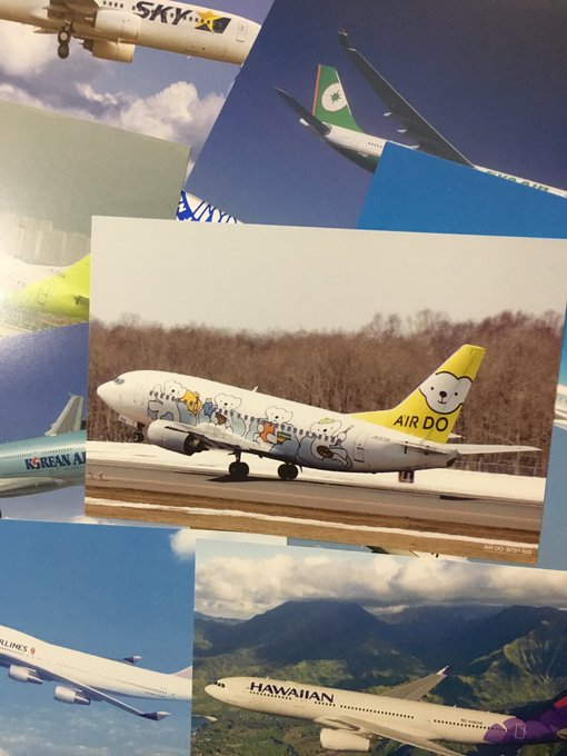 北海道の大地のように広ーい新千歳空港の魅力と楽しみ方選 Skyticket 観光ガイド