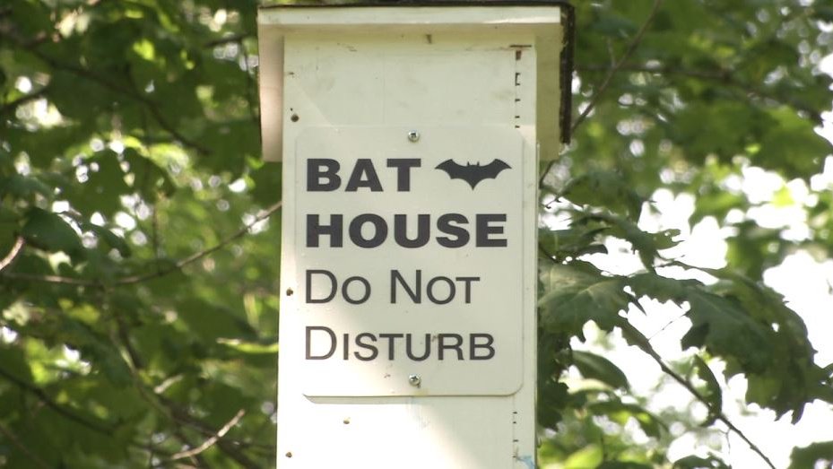 northliberty's tweet image. &quot;I mean I just thought it was pretty interesting. I thought sure why not?&quot; kcrg.com/content/news/S…