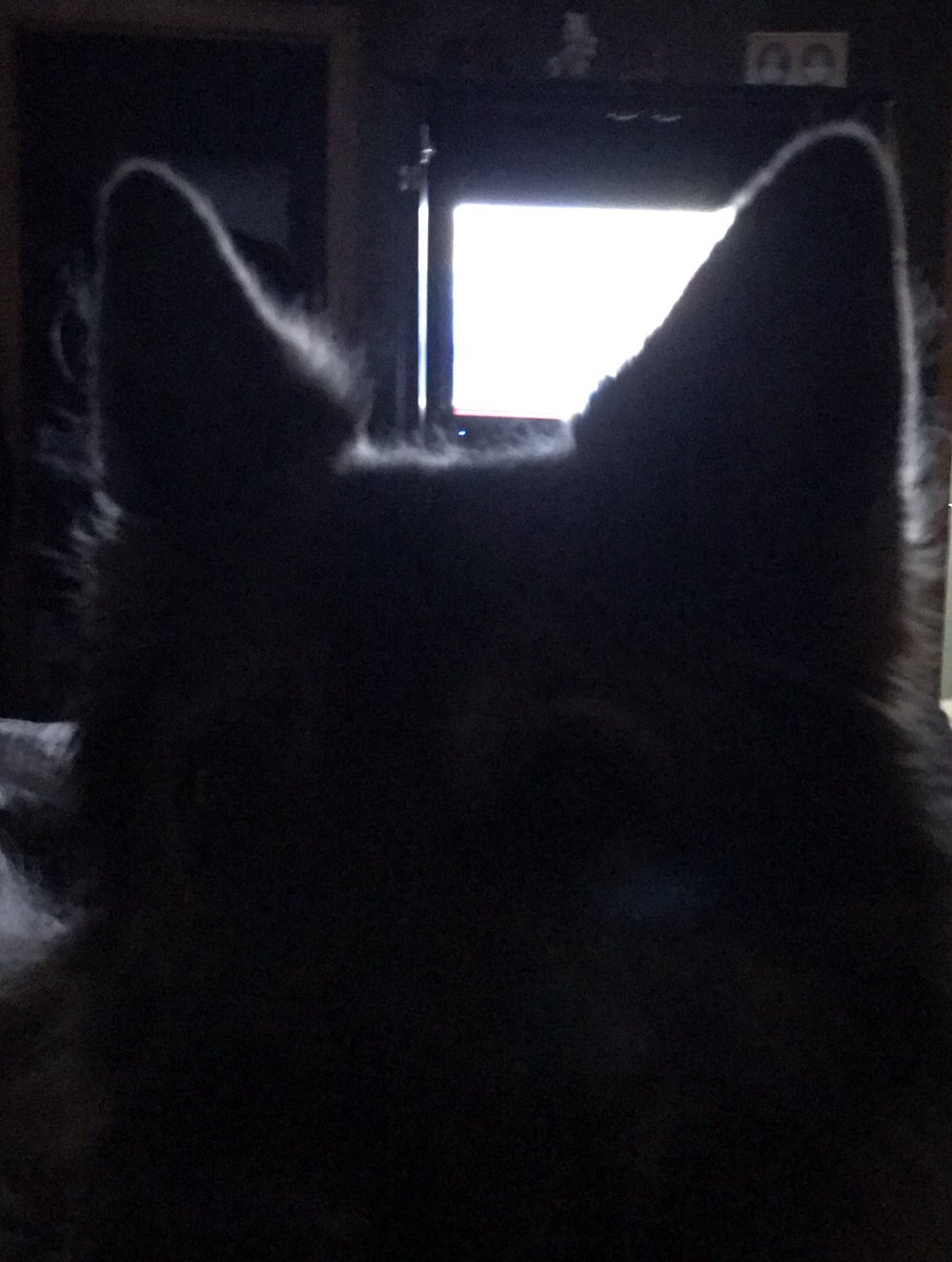 If you watch most of your TV through a set of Delta Ears.. You might be a #GermanShepherd owner!! goo.gl/CmkJj4