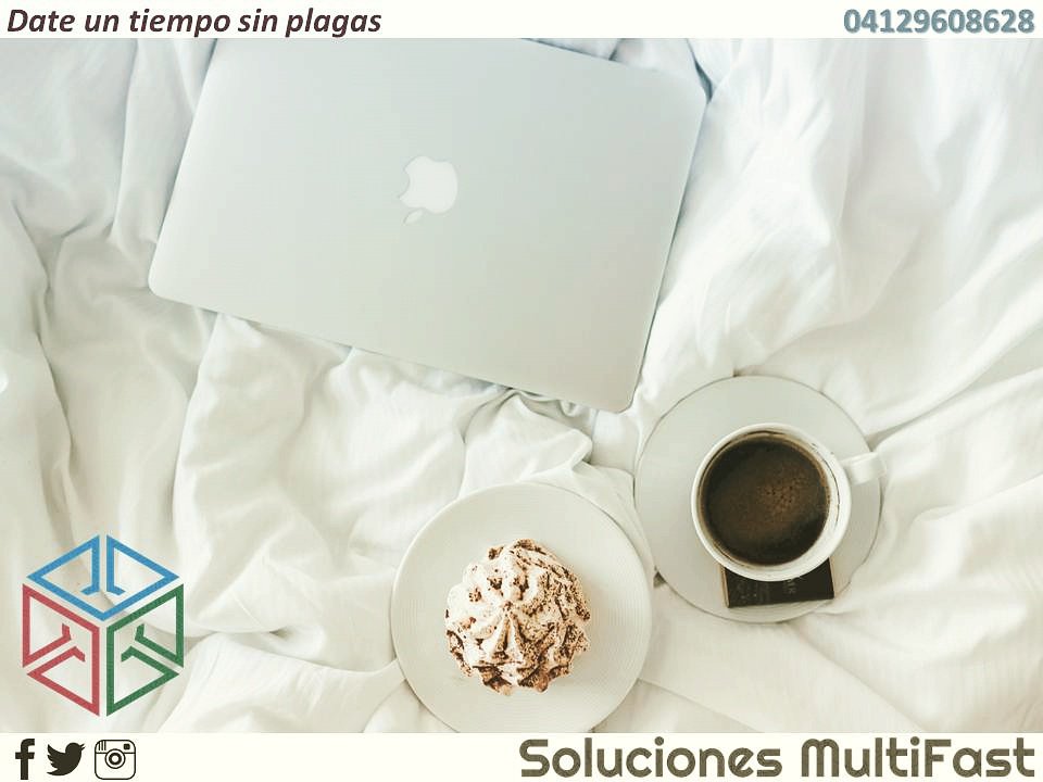 solmultifast's tweet image. Siempre es necesario tomarse un respiro para organizar nuestras ideas y seguir adelante con más fuerzas!... #solucionesmultifast