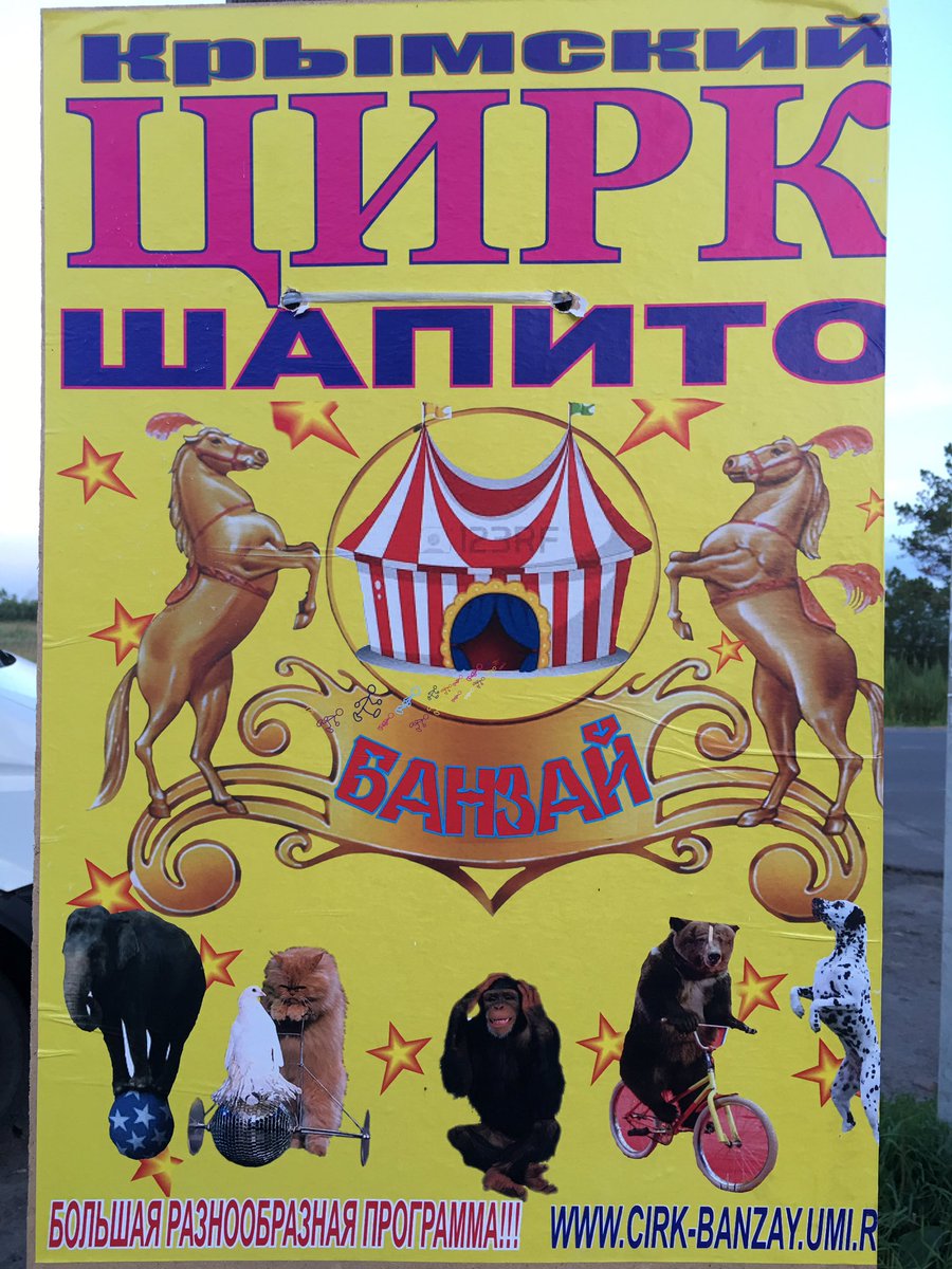 LazarevAnatoly's tweet image. 