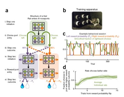 GoogleDeepMind's tweet image. New paper in @NatureNeuro: Dorsal hippocampus contributes to model-based planning: rdcu.be/uCYA — Miller, Botvinick, &amp;amp; Brody