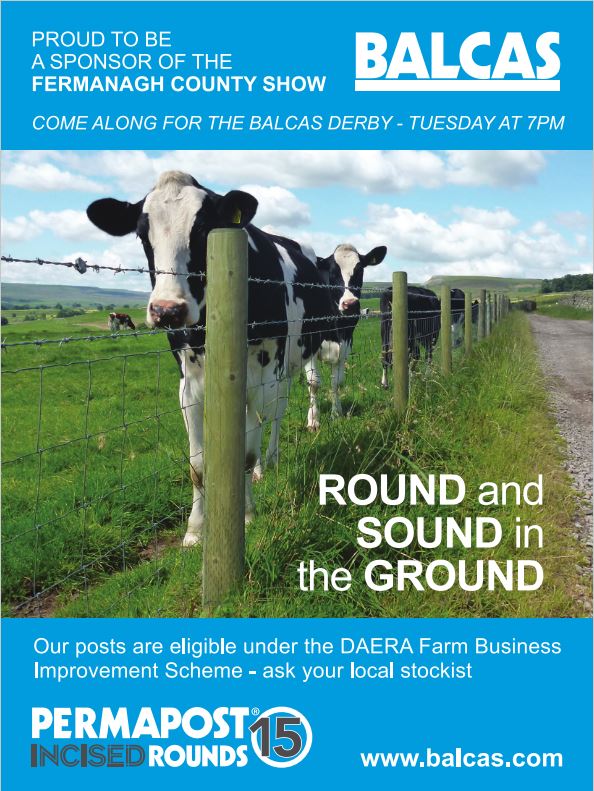 balcastimber's tweet photo. Looking forward to a dry evening for the beginning of #FermanaghCountyShow
Be there from 7pm and catch the inaugural #Balcas #Donkey #Derby https://t.co/xH9pk2sDBk