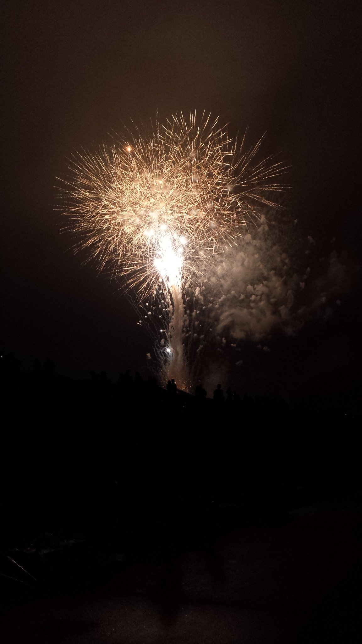 東京都江東区立第六砂町小学校pta 葛西橋の南岸で江東花火大会 直前までの夕立ちも止み 涼しく美しい夜でした 私たちptaも会場整理で貢献しました T Co Etw6sssyd5 Twitter