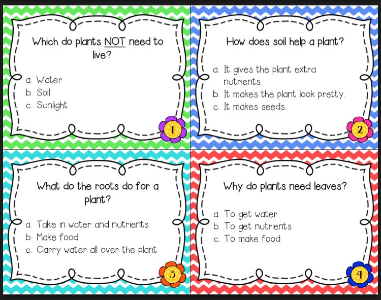 eleminspiration's tweet photo. Do you need an easy and fun way to review science standards in your classroom? Check out these plant task cards! https://t.co/F0NsFC3ukf https://t.co/JmB2Qgr1CG