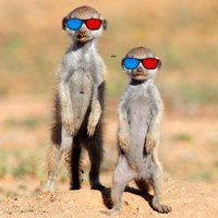 Anyone using Meerkat Movies tonight? Here's how to get 2for1s for a YEAR and pay just £2ish: bit.ly/2vX2Jzj