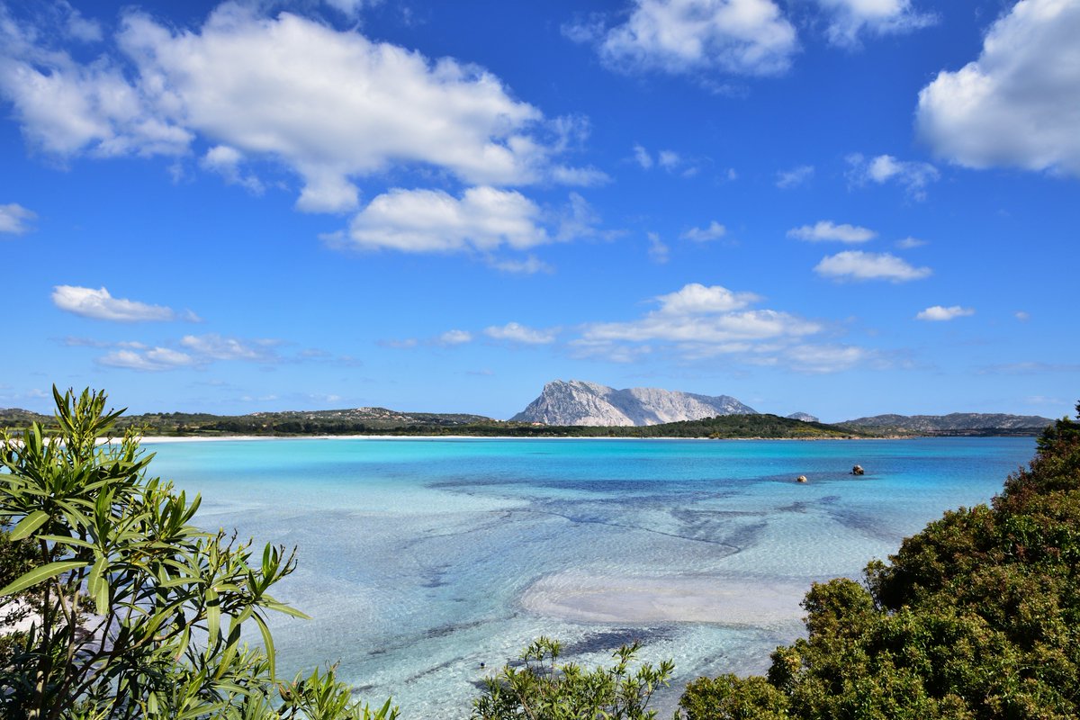 OnlySardinia's tweet photo. Il mar di Sardegna è questo. #solobello https://t.co/cmme6YSXmH