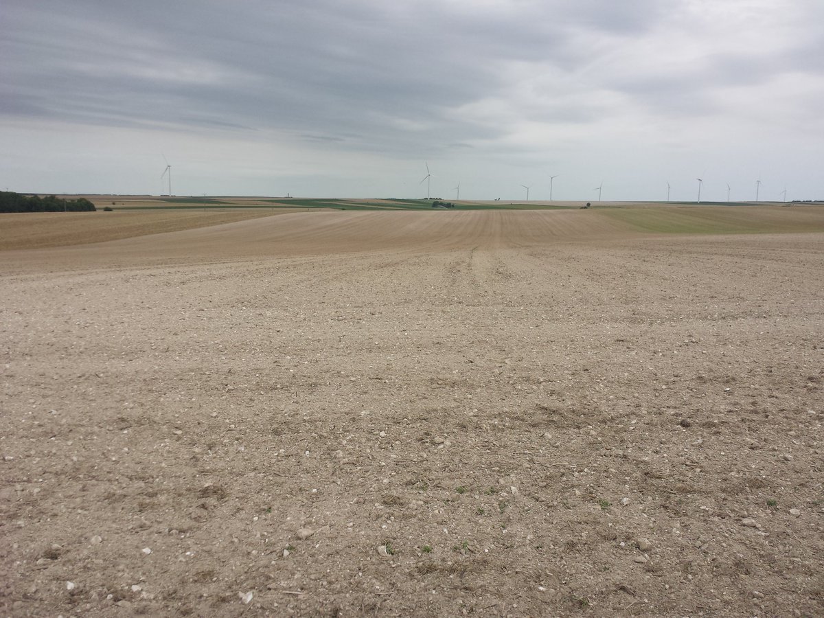 JCoulerot's tweet photo. C'est parti pour l'arpentage des parcelles hétérogènes!! #Geosoil #agriculturedeprecision #Geoferti #agroconseil https://t.co/cvn4cSqBv2