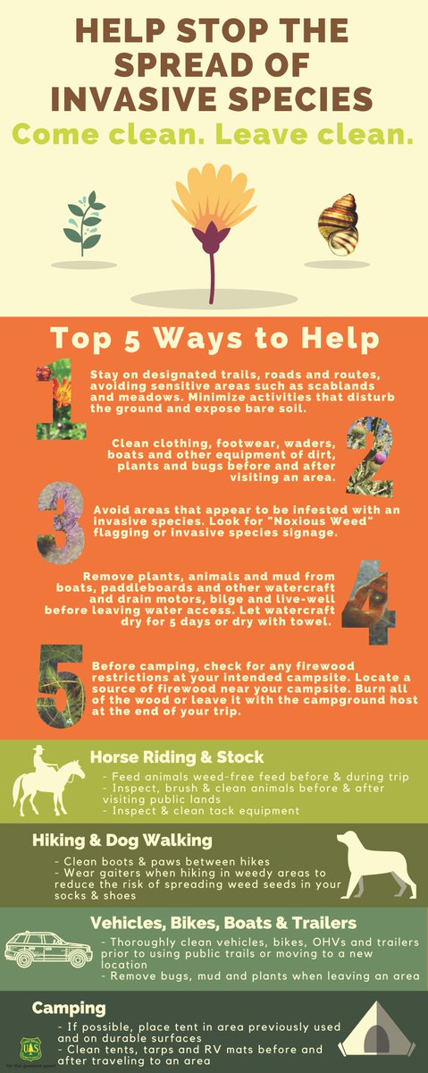 Don't be a weed spreader! Learn the top ways you can help avoid spreading invasive weeds. #ThursdayThoughts