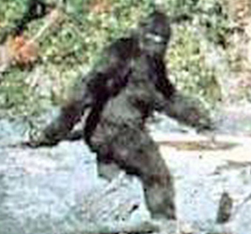 carlyspeese's tweet photo. These spot the difference pics are too hard. @cw_spn @jarpad #sasquatch #Supernatural #spn https://t.co/jNMsZ8aW3w
