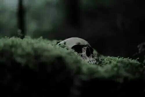 SadisticRiddles's tweet image. ༺ тнeo rιddle ༻

   »ĸnown aѕ #worмтaιl. deѕcendanтѕ/нarry poттer rp. oғ voldeмorт and вellaтrιх. gay. мιrrored lιтeracy. ѕнιpѕ wιтн cнeм.