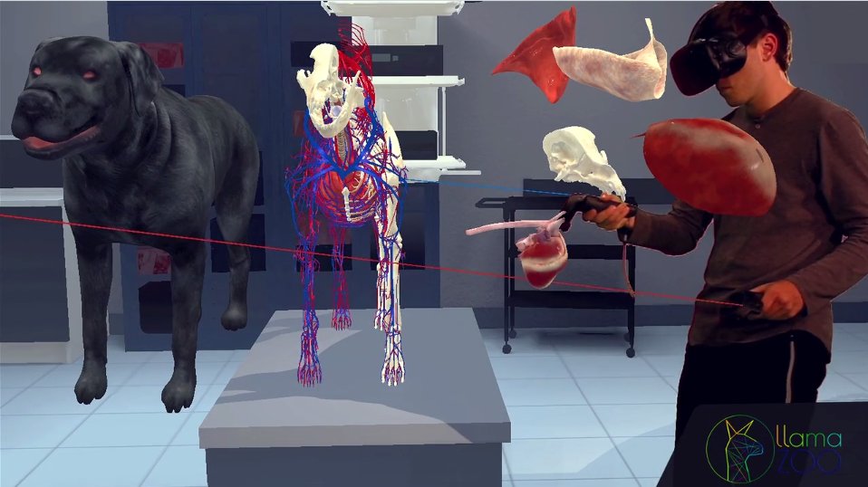 MixCastMe's tweet photo. Check out LlamaZOO's Production Reel showing off their latest work including mixed reality anatomy with #MixCast! https://t.co/FjtOnvz8Gm https://t.co/787n4dGUIn