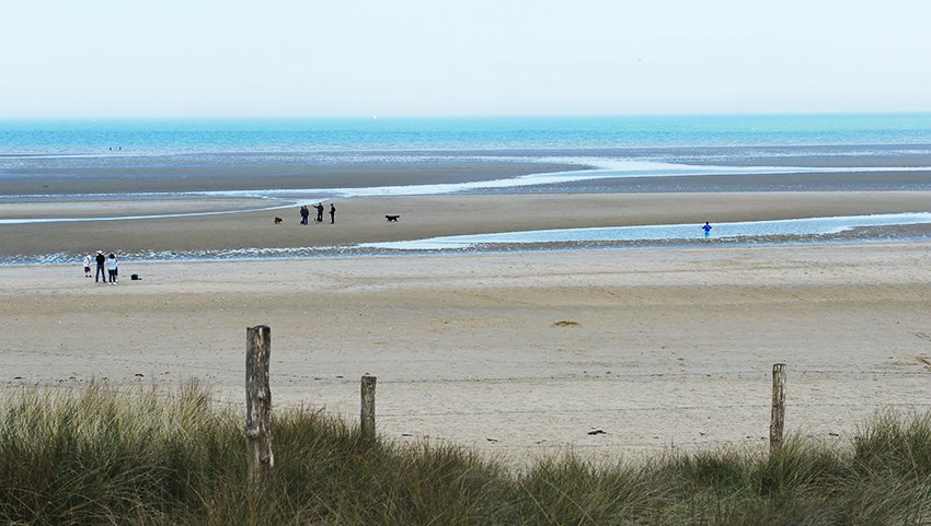 RegionNormandie's tweet photo. #JO2024 : La #Normandie propose que la flamme olympique arrive en France par les #PlagesDuDébarquement !
👉https://t.co/JOUo1fMBS3 https://t.co/1U1O1gU8Dw