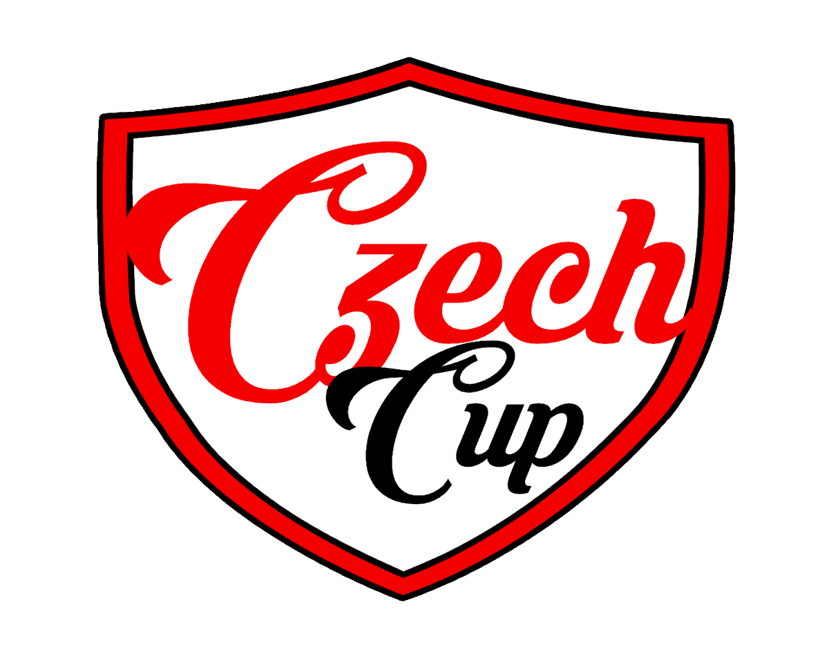 Czech Ringette tweet media