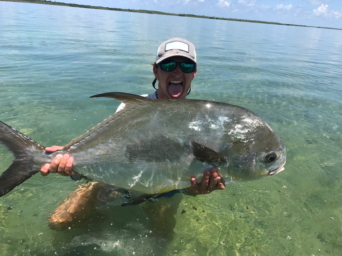 fishbelize's tweet photo. As the dust settles, we end up with a huge number of permit, tarpon and bonefish landed this week. Four grand slams cap it off #belize #fish https://t.co/4btOEeA298