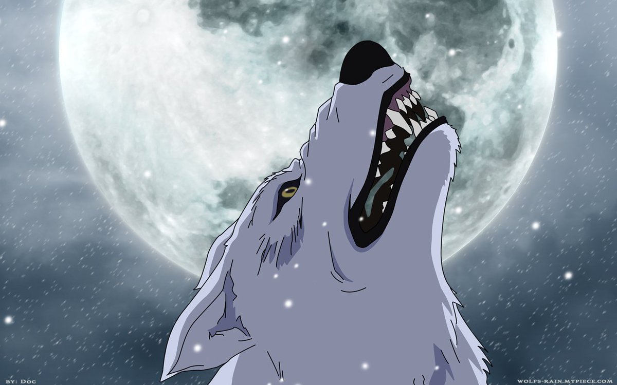 valilokison's tweet photo. Váli Lokison, el lobo rabioso.

Rol medio-extenso, #FreeRol y #SemiOC. 

¿Un RT para el hijo de Loki? https://t.co/5H2YUIIsTC