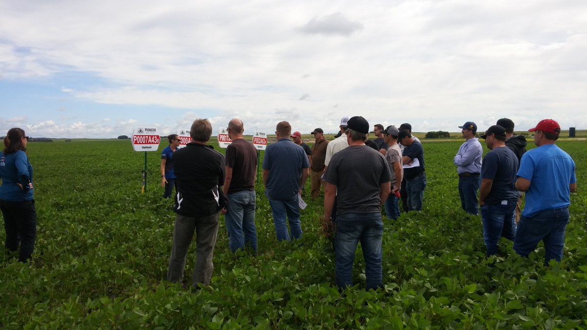 cjbaillargeon's tweet photo. Learning about beans! At @EvolveAg summer agronomy tour https://t.co/q7UajX3dCG
