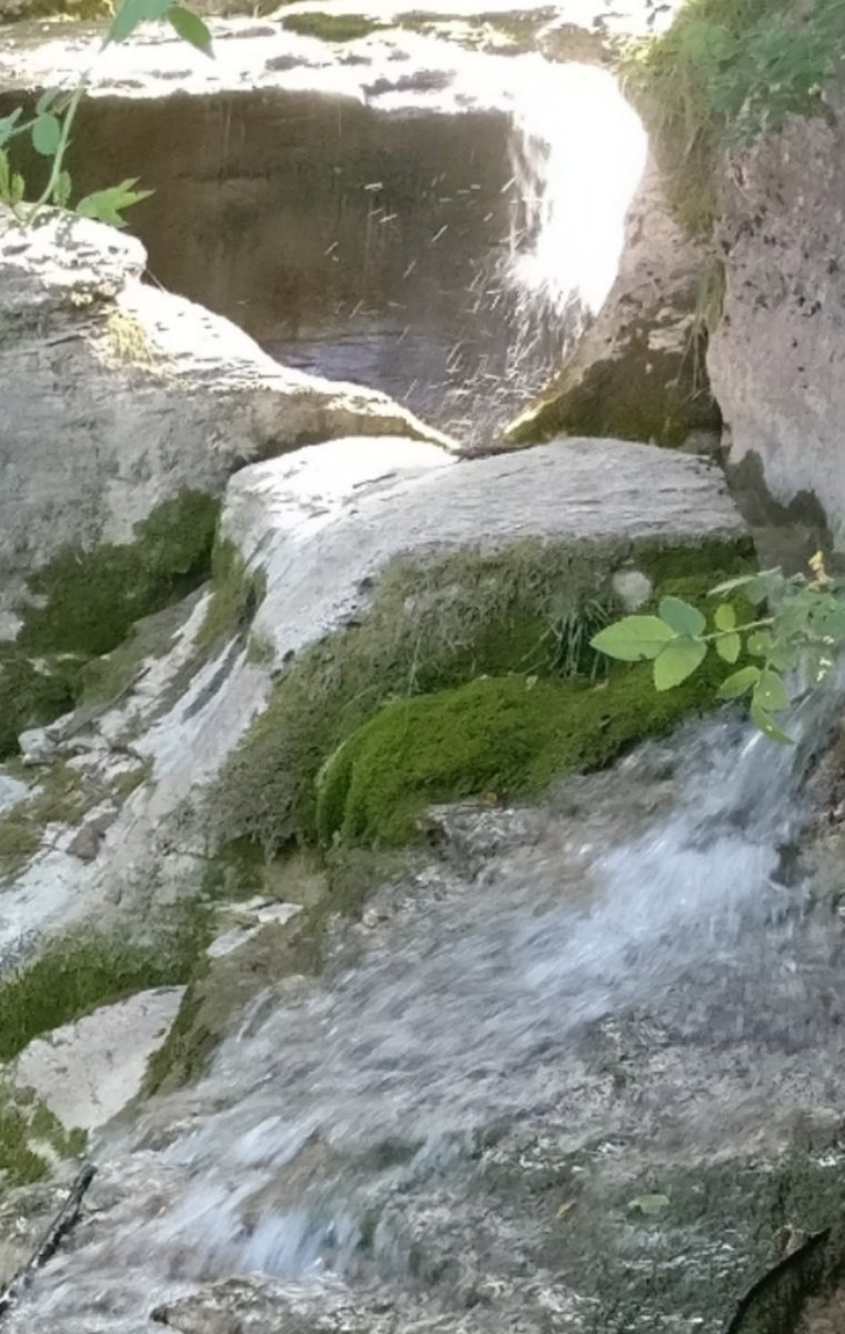galloforcello2's tweet photo. #roncan #pontenellealpi #belluno #turismo #italy #veneto #volgo #forra #marmitte #cascata #estate2017 #refrigerio https://t.co/mMChFbFLqd