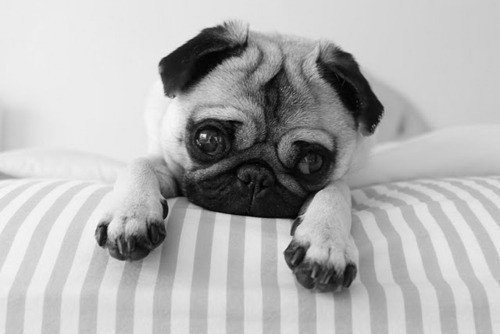 Adriana Figarová tweet media