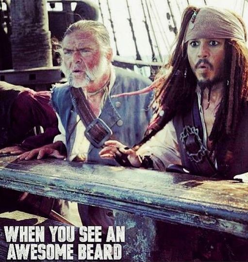 BeardGuyz's tweet photo. Sometimes you just stop and stare #awesomebeards #beard goals #humor #beardhumor #beardguyz #beardmeme #beardpirates #myuniversalvip https://t.co/SI1dJoeQRG