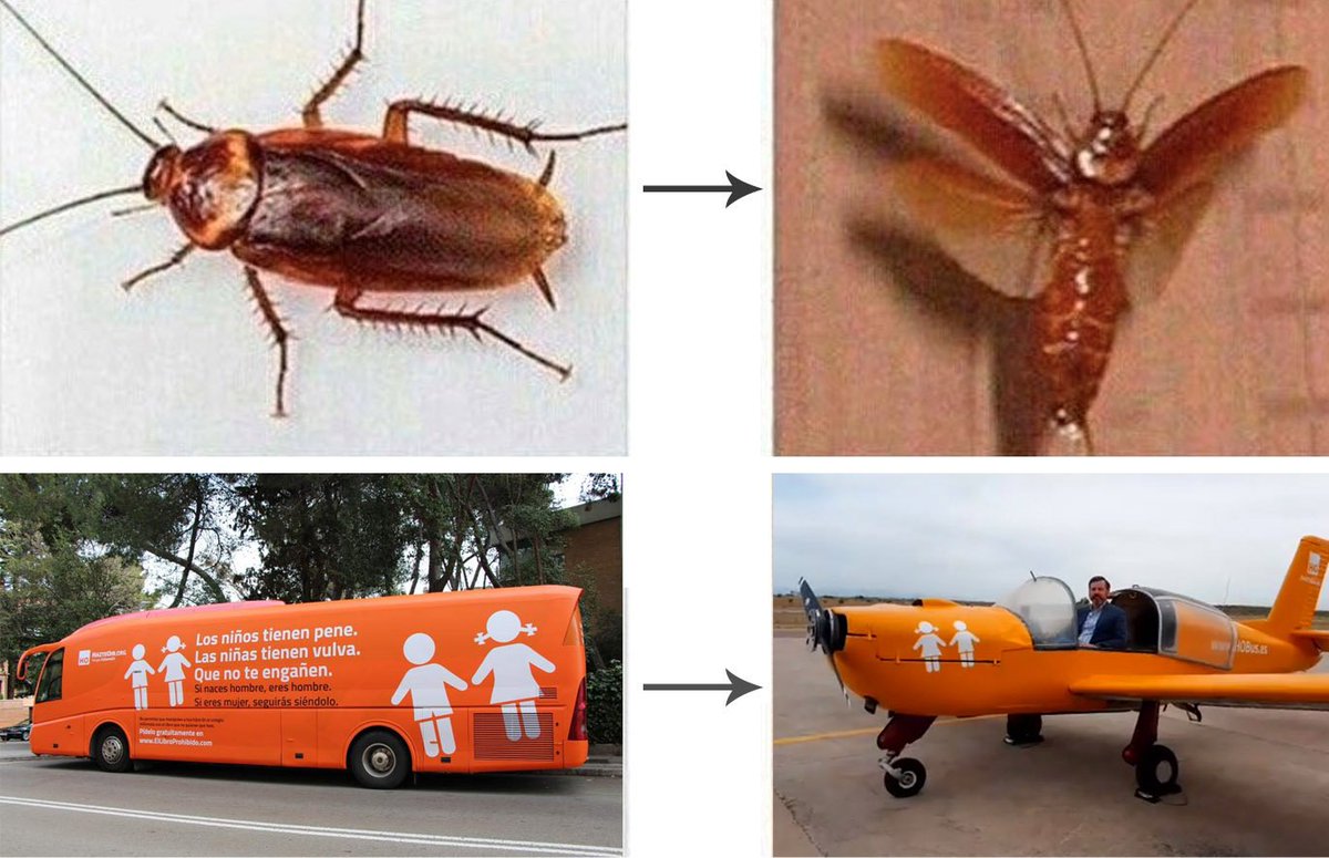 Cosas que de repente vuelan y te dan aún más asco