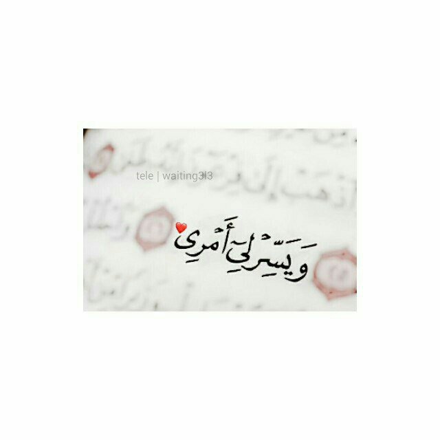 A_b_M_do's tweet photo. #نجوم_تويتر_للدعم 
#قروب_الشيوخ_للتبادل 
#مملكة_بسام_ل��دعم 
#زايد_غلاهم_للدعم 
#سناعيس_شمر_للدعم https://t.co/7UqOgToQvk