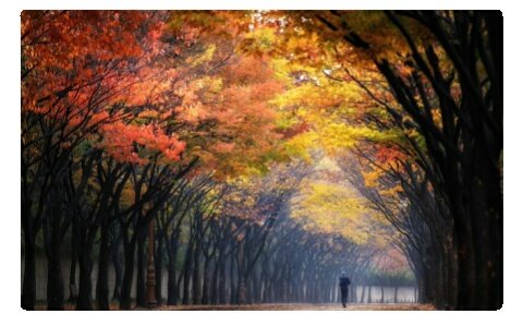 Oysa zaman belki bir ömür boyu süren tek bir andır.

Rasim Özdenören